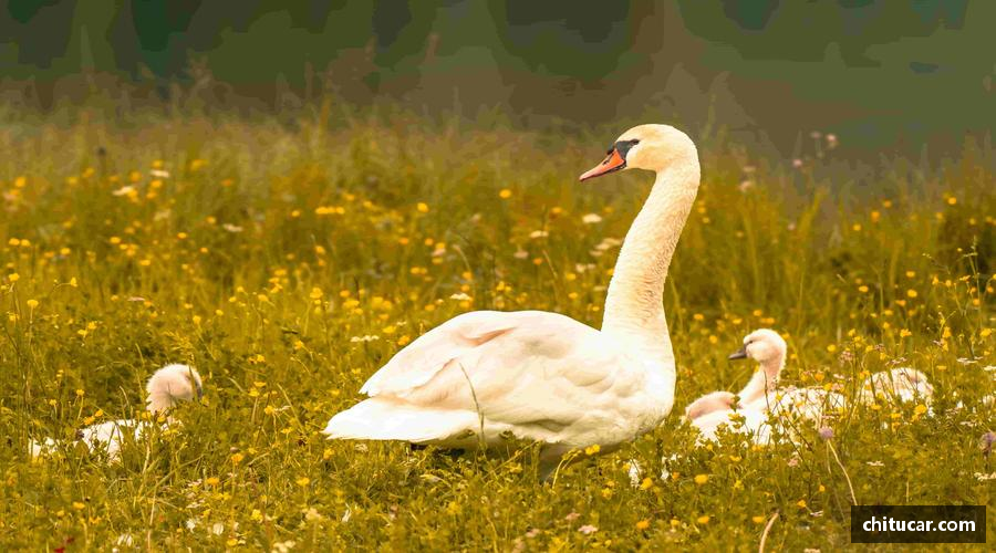 用拼搏书写传奇，奋斗创造未来。